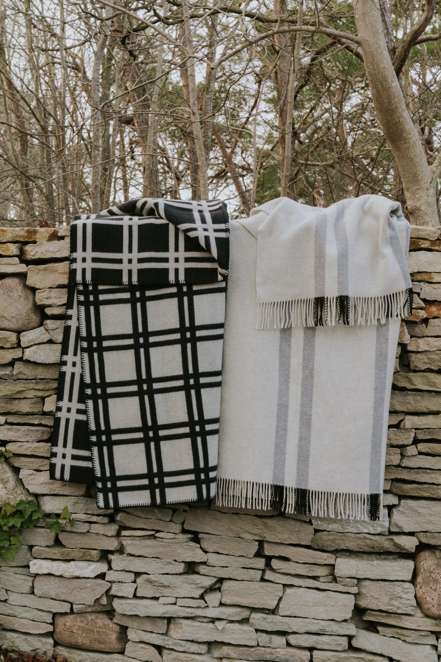 Sigvard Bernadotte, Rock 'N' Roll