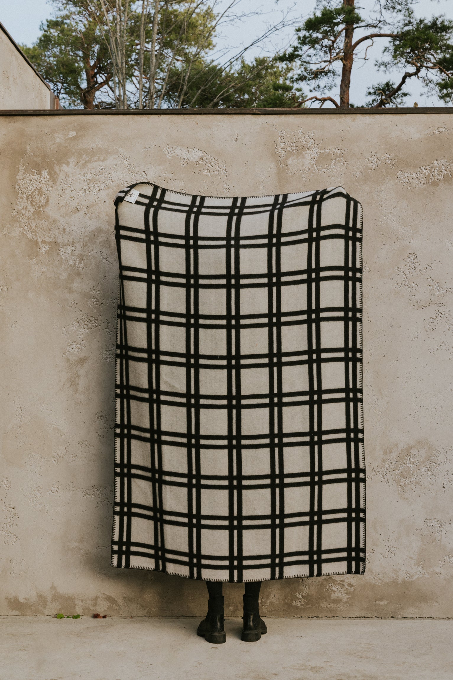 Sigvard Bernadotte, Rock 'N' Roll