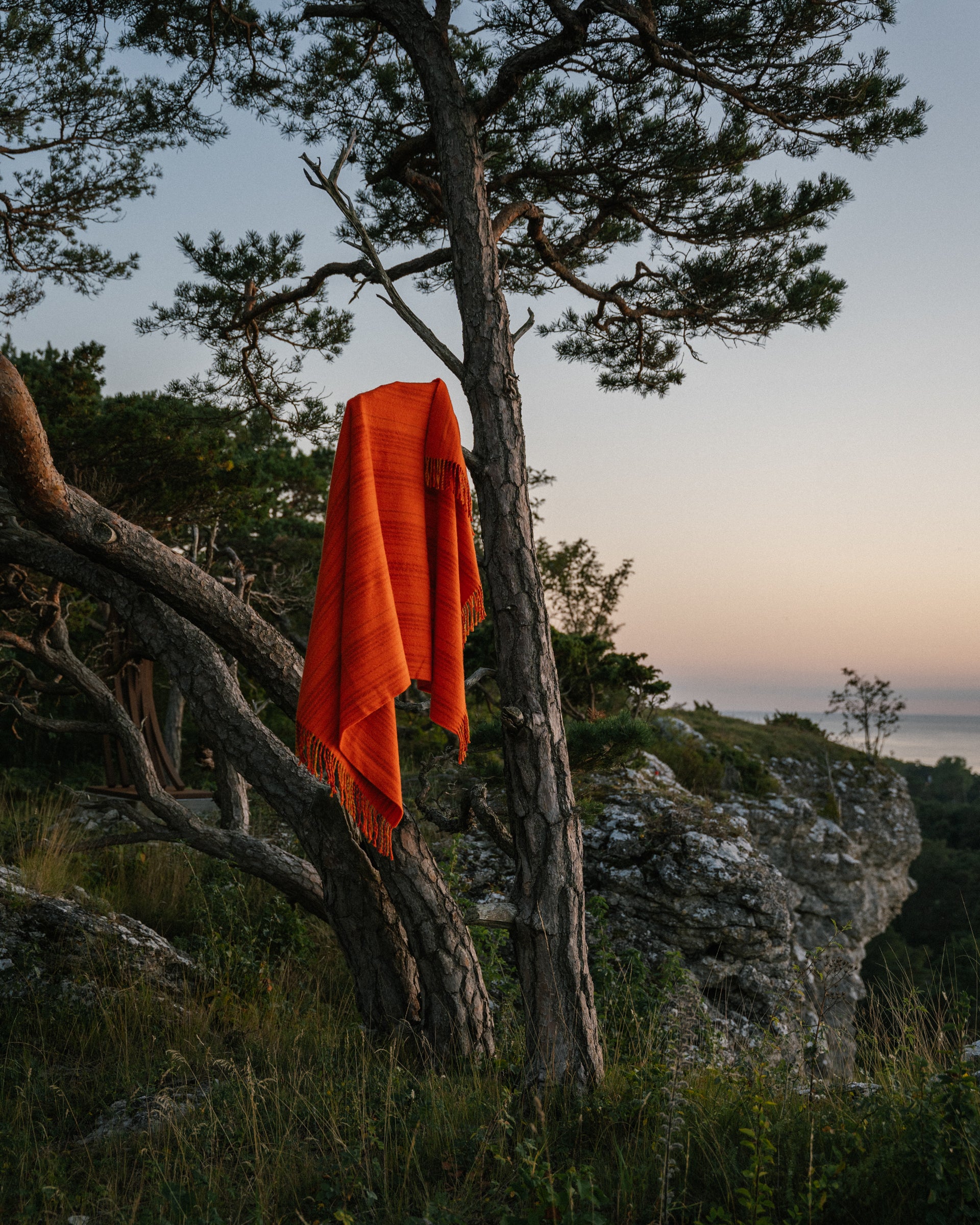 Viola Gråsten, Snark Orange