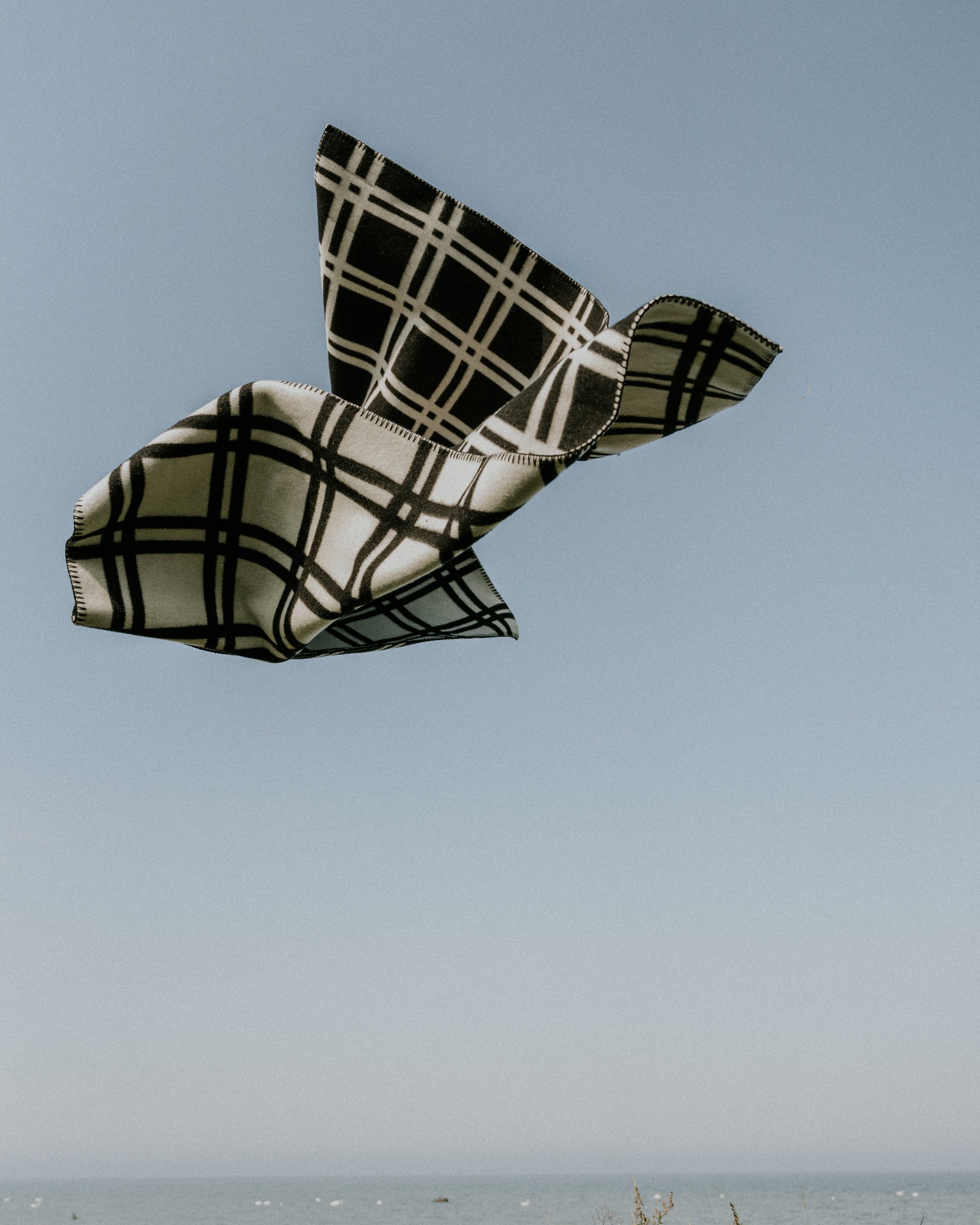 Sigvard Bernadotte, Rock 'N' Roll