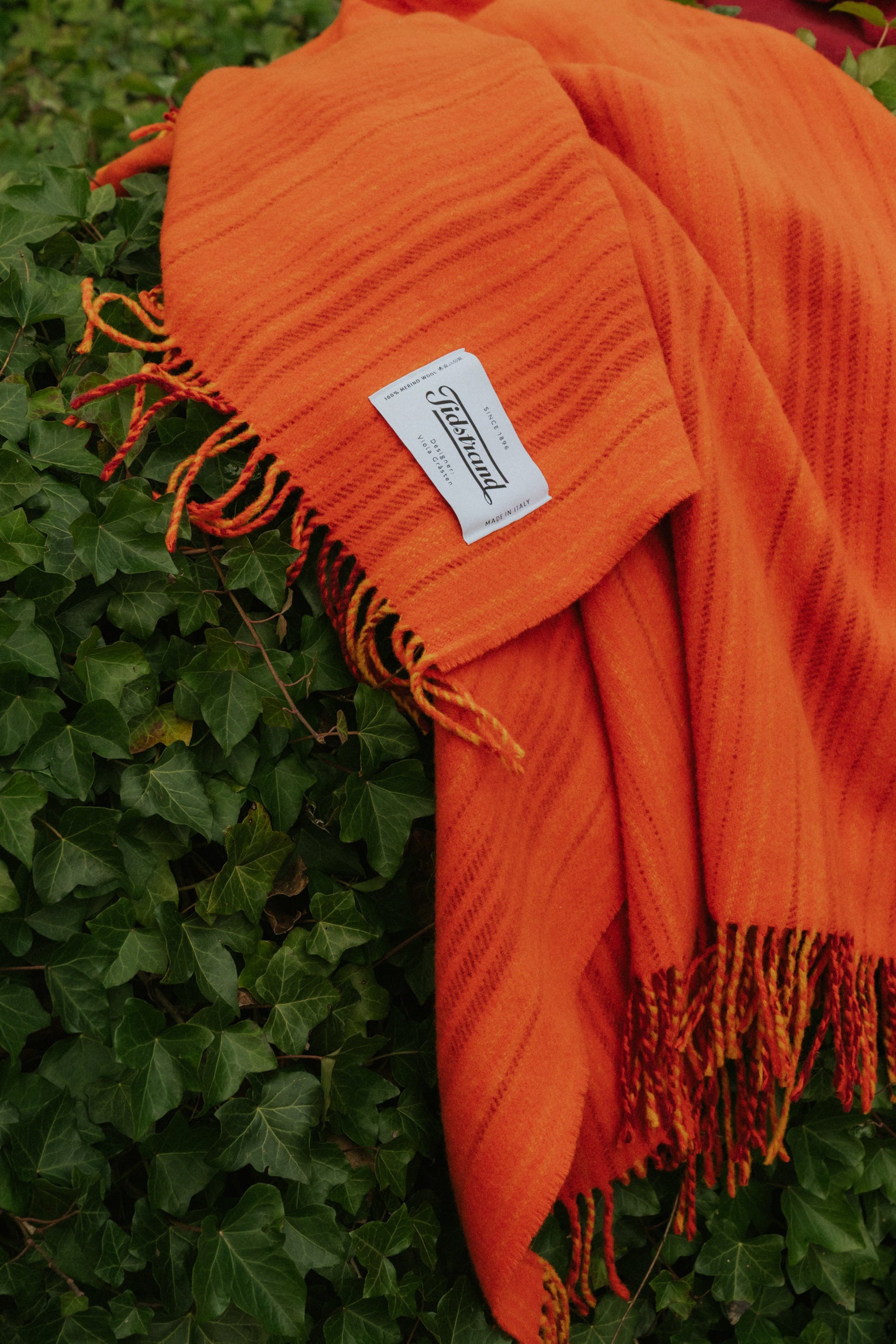 Viola Gråsten, Snark Orange
