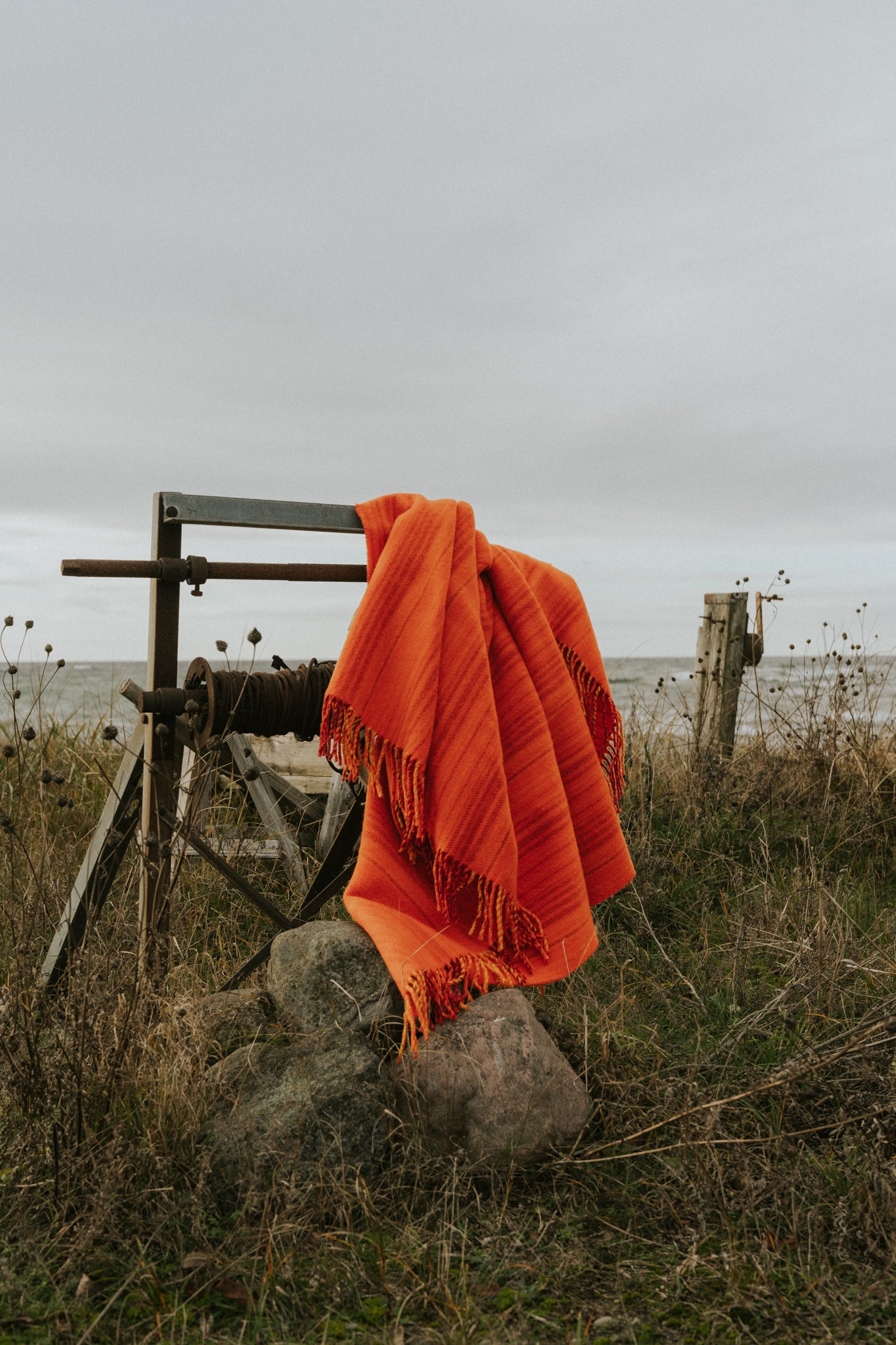 Viola Gråsten, Snark Orange