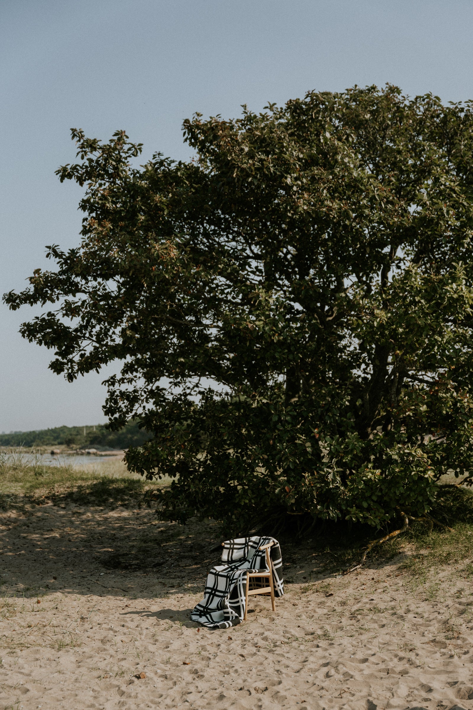 Sigvard Bernadotte, Rock 'N' Roll