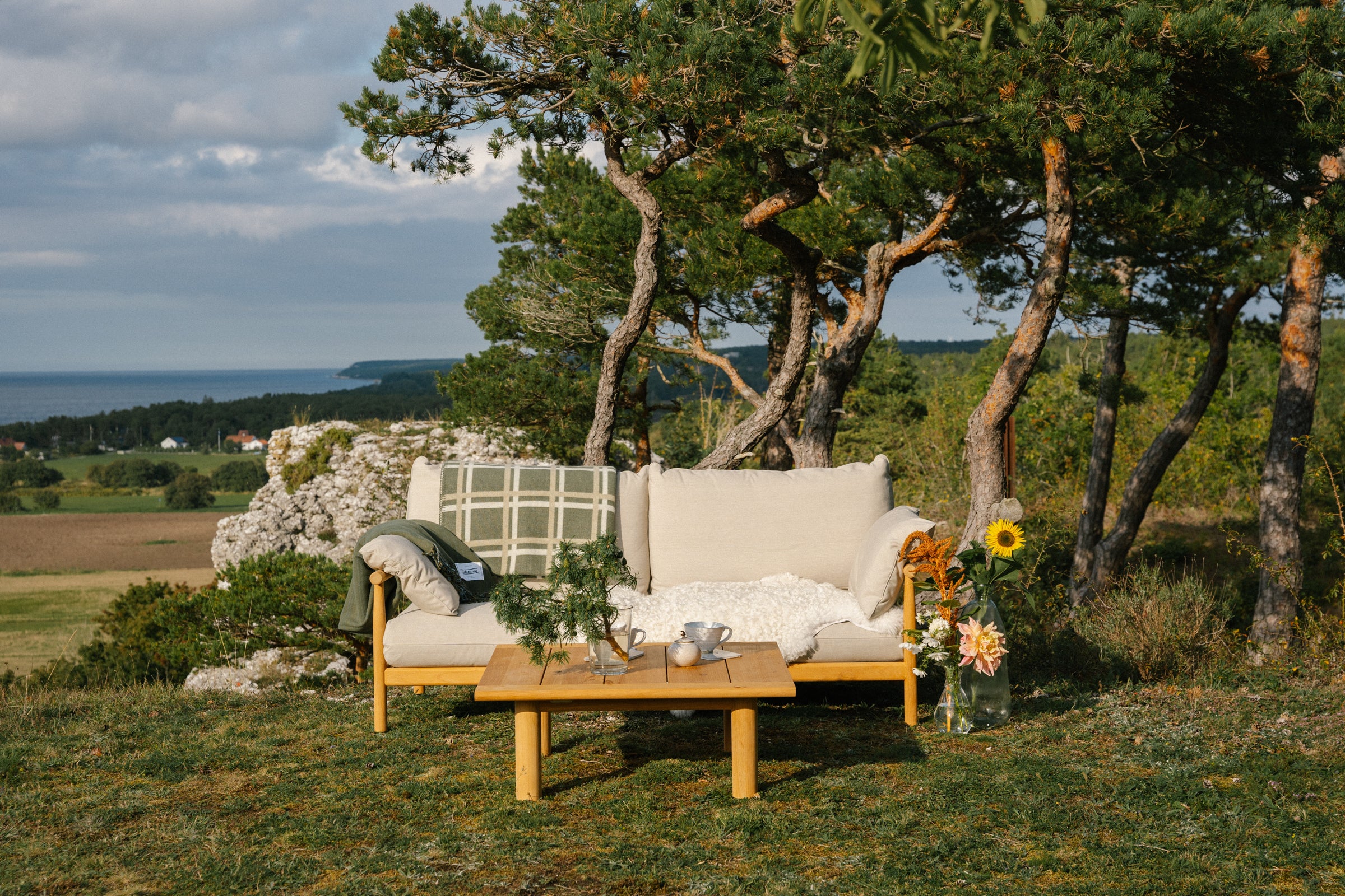 Sigvard Bernadotte, Oliv
